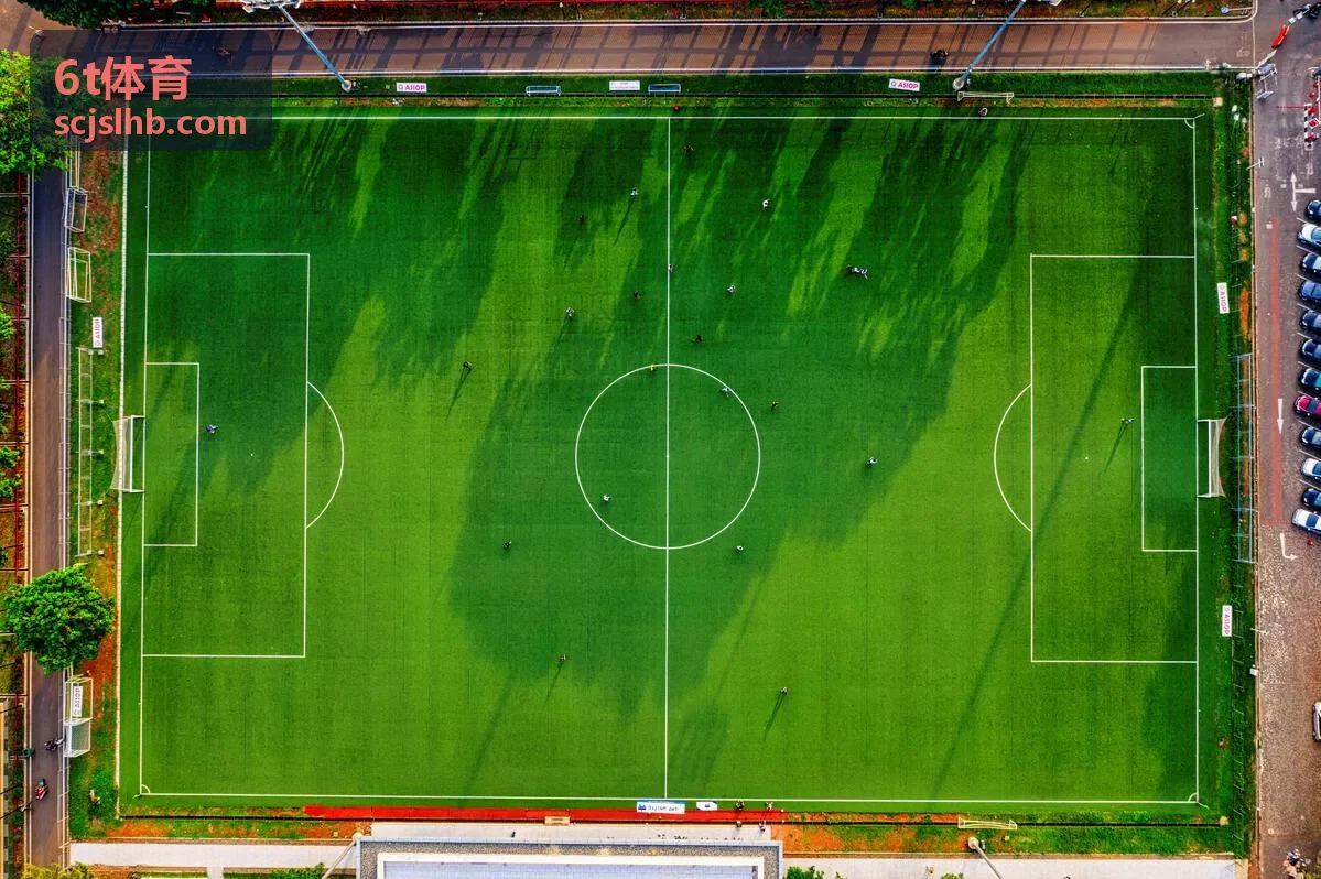6t体育篮球敏捷训练