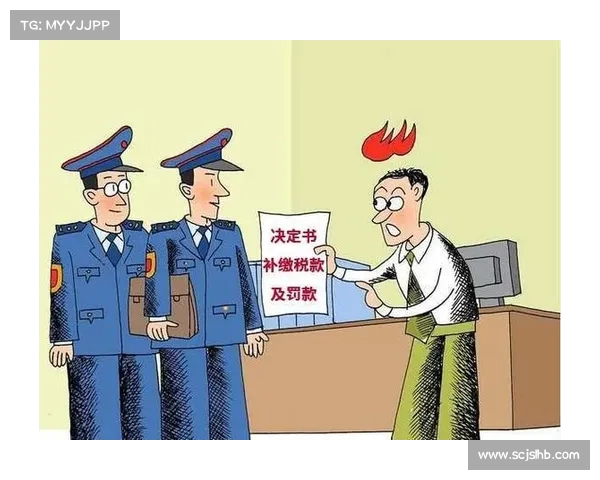 民企倒查税款的三种可能结果：合规、风险与冲击(企业纳税倒查20年)